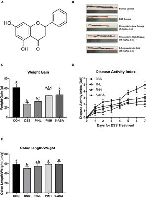 Pinocembrin Protects Against Dextran Sulfate Sodium-Induced Rats Colitis by Ameliorating Inflammation, Improving Barrier Function and Modulating Gut Microbiota